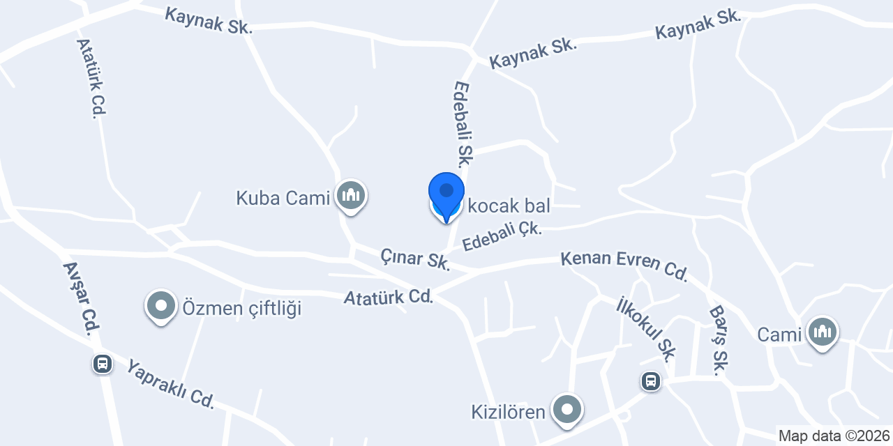 kocak bal konumu