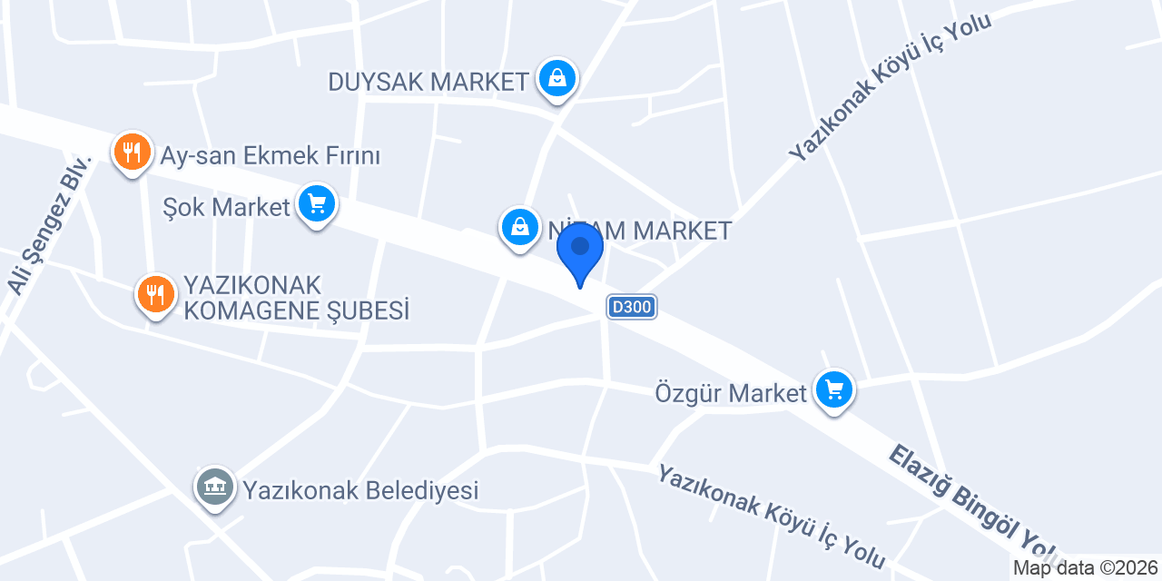 Aslan Kilomangal Izgara Salonu konumu