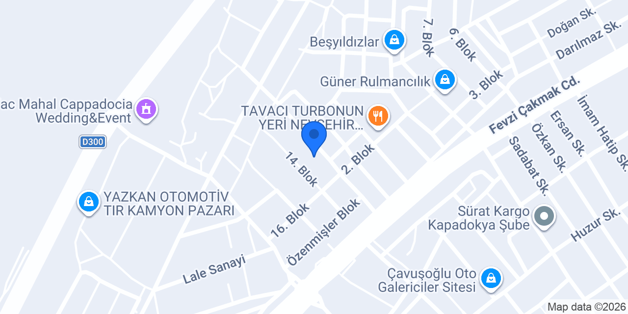Arslanlar Özel Servis konumu