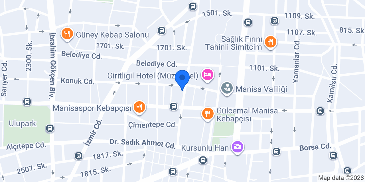 PROMASTER Bilişim ve Danışmanlık konumu