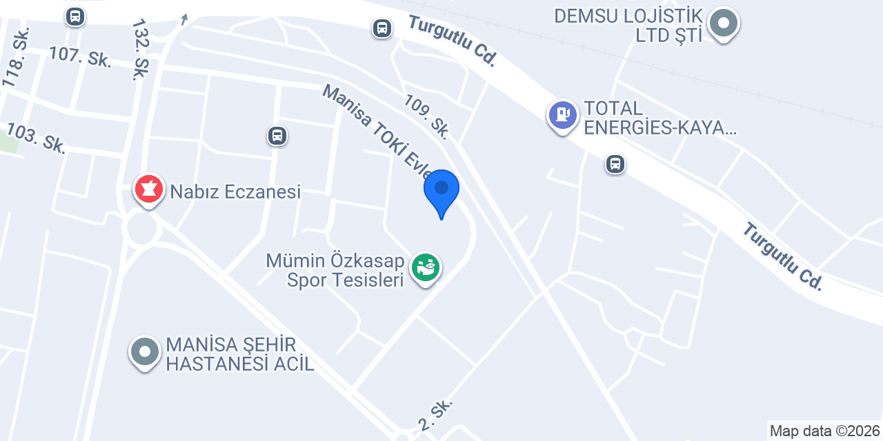 Manisaboyaustası konumu