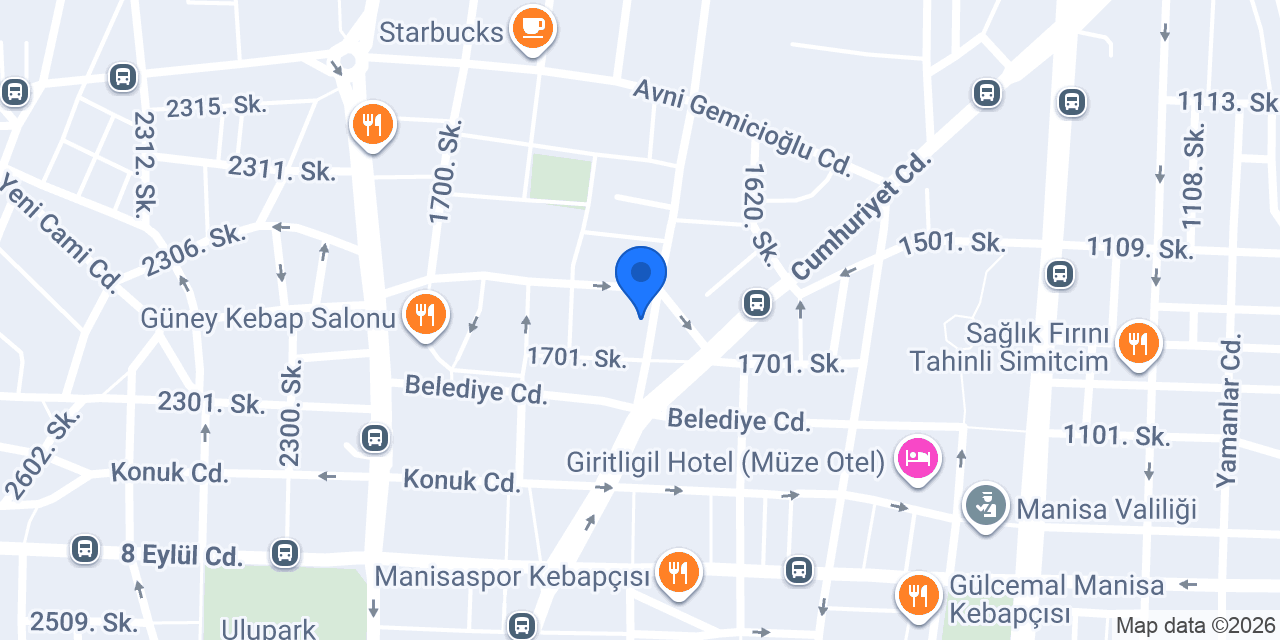 Manisa Vadi Temizlik konumu