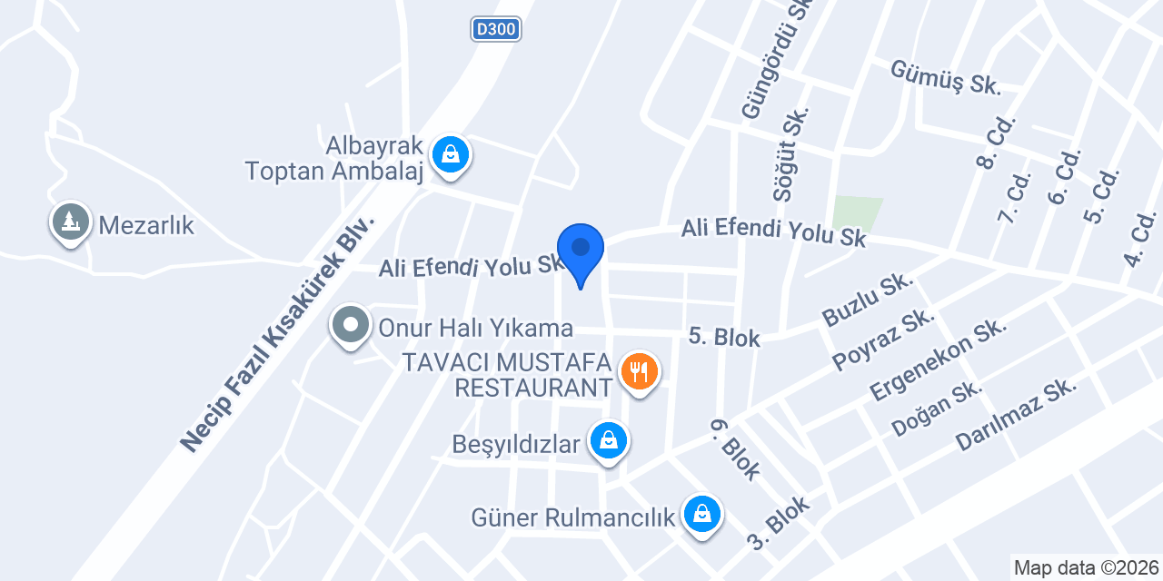 Tevfik Oral Karoser konumu