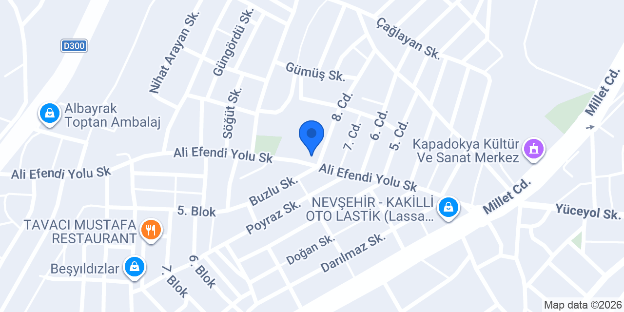 100. Yıl Ülfet Başer İlkokulu konumu