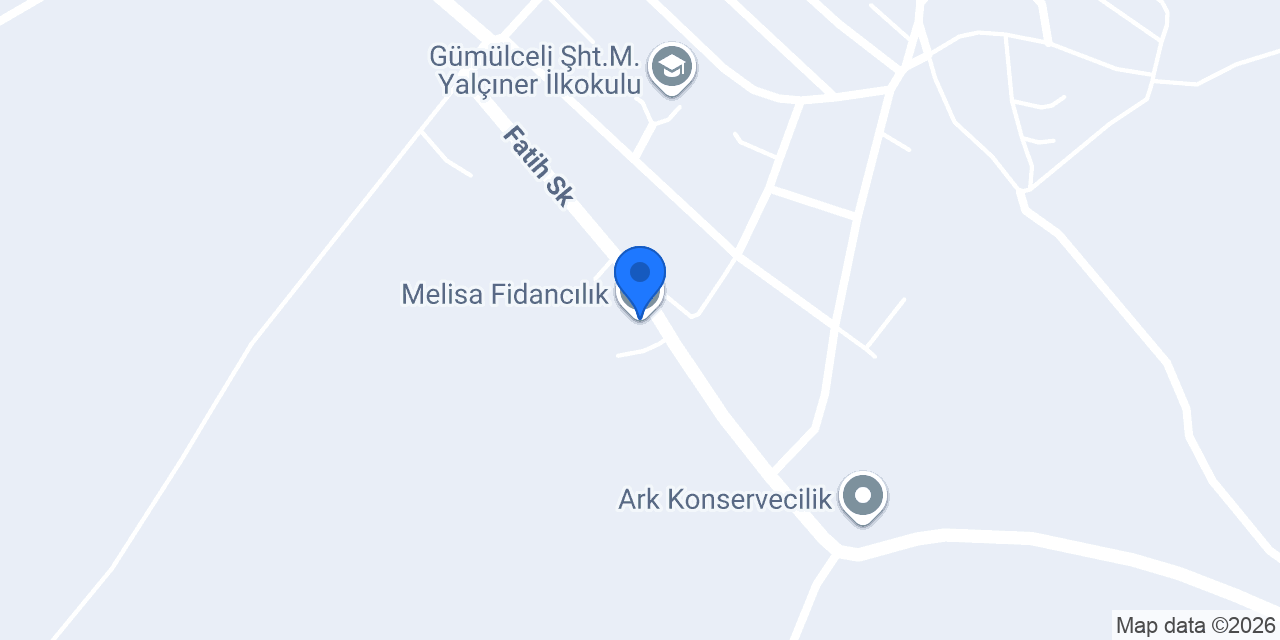 Melisa Fidancılık konumu