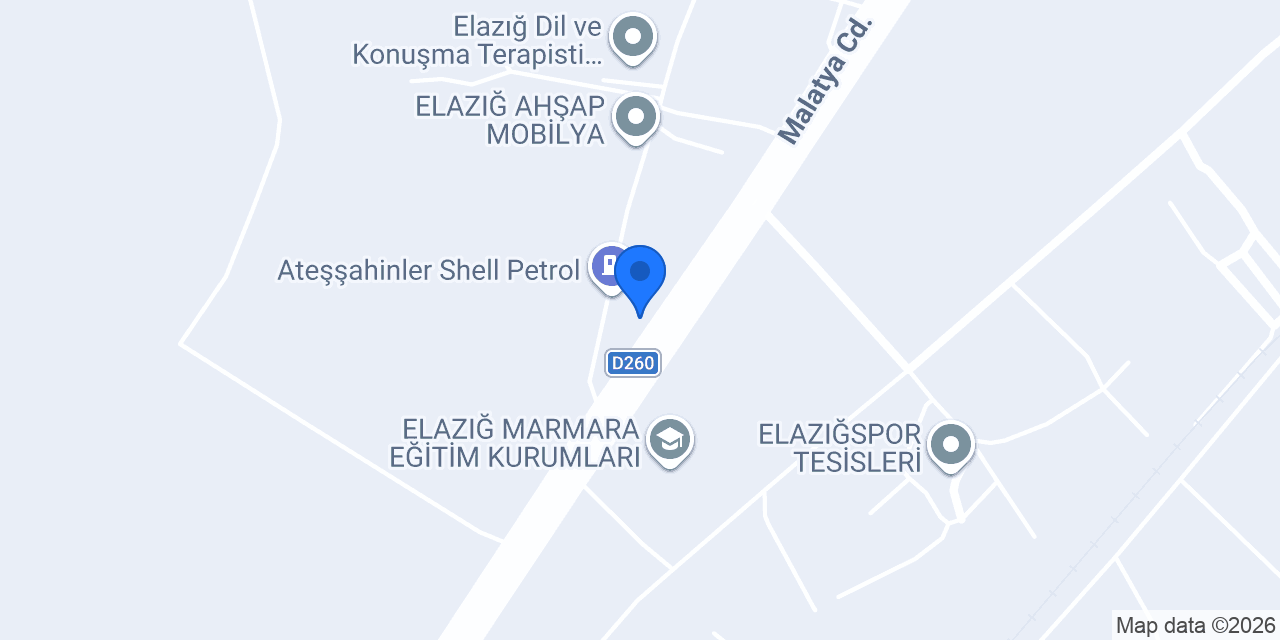 Tesla Holding Group konumu