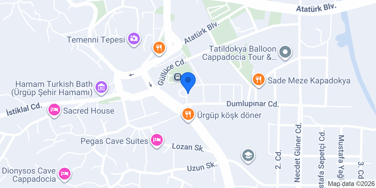 Dostlar Petshop konumu