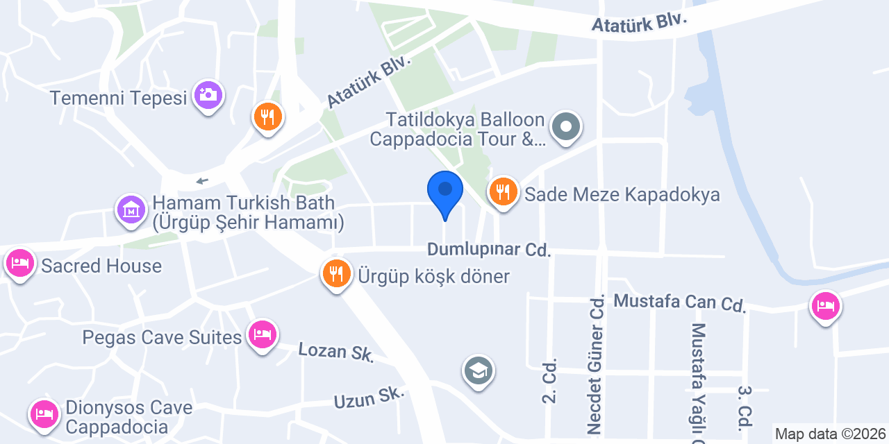 Lale kuru temizleme konumu