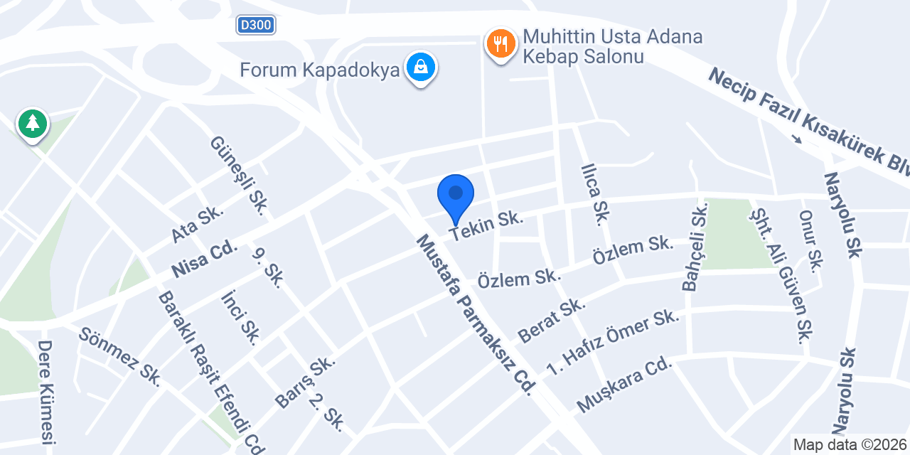 ELTAŞ PİLİÇ konumu