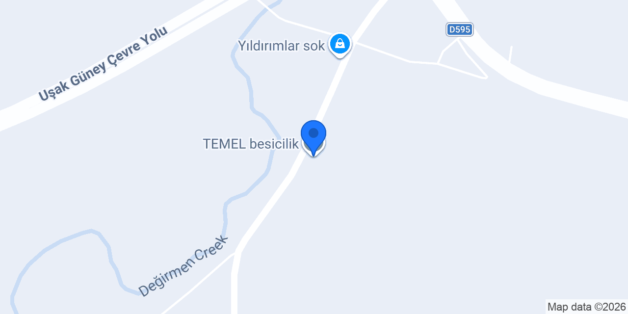 TEMEL besicilik konumu
