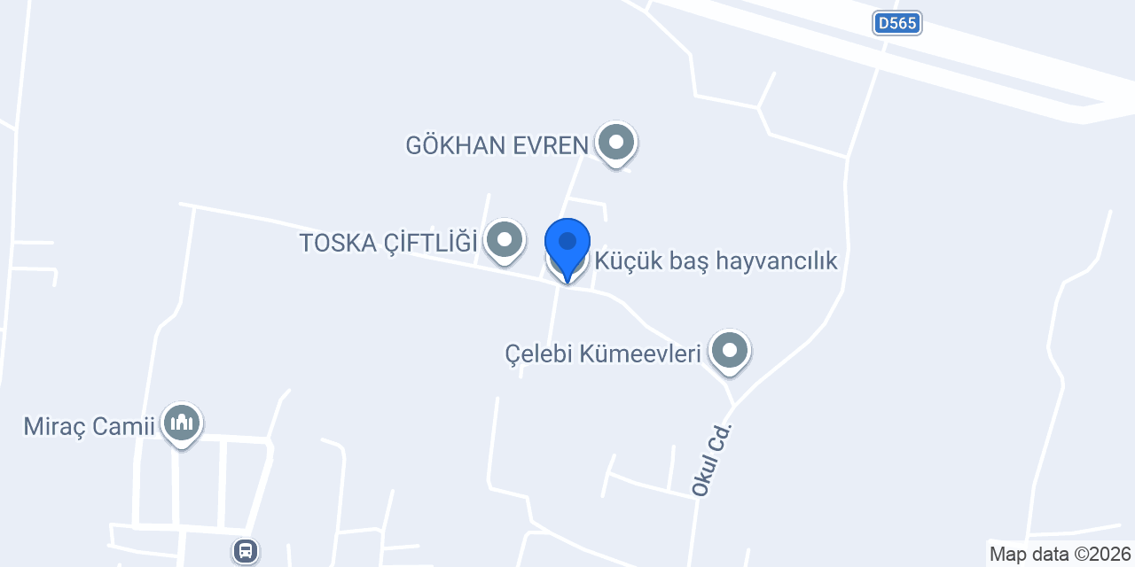 Küçük baş hayvancılık konumu