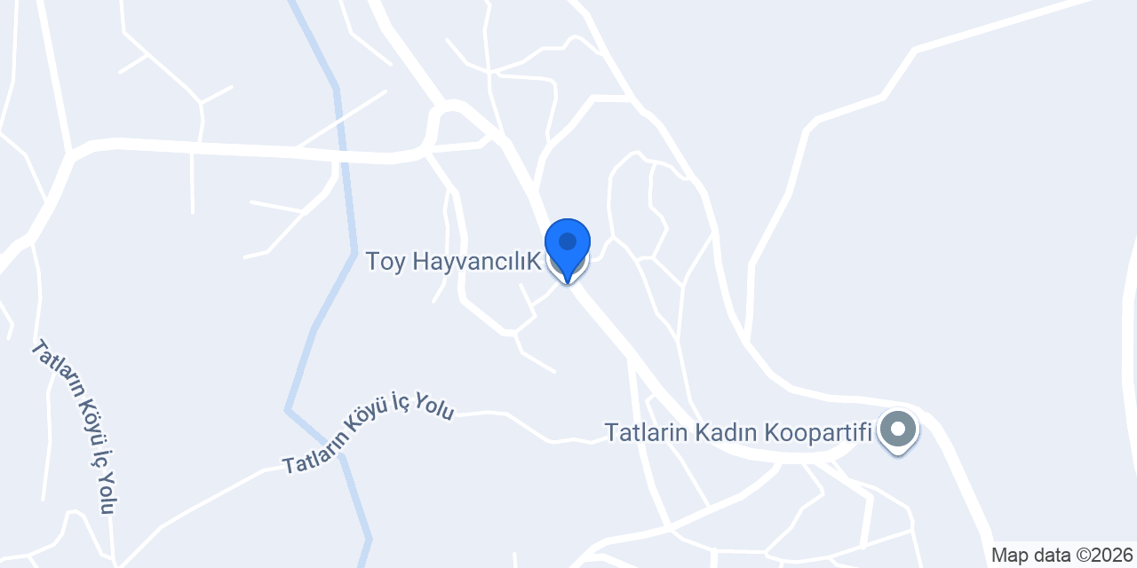 Toy HayvancılıK konumu