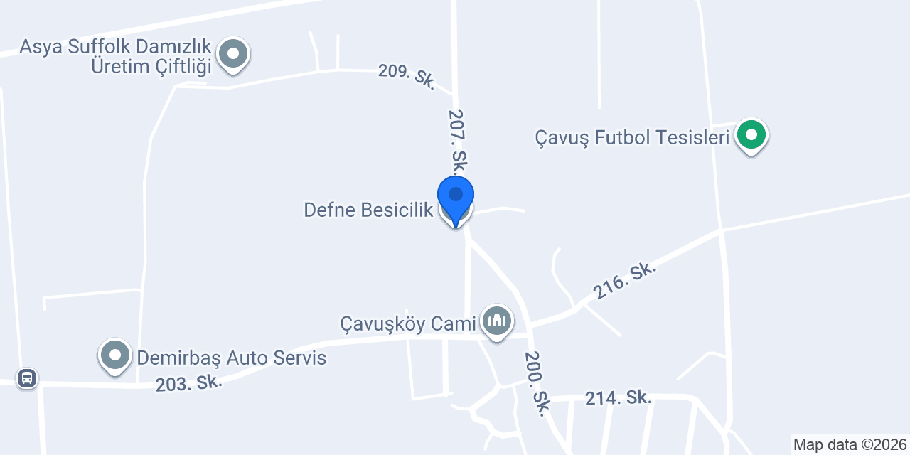 Defne Besicilik konumu
