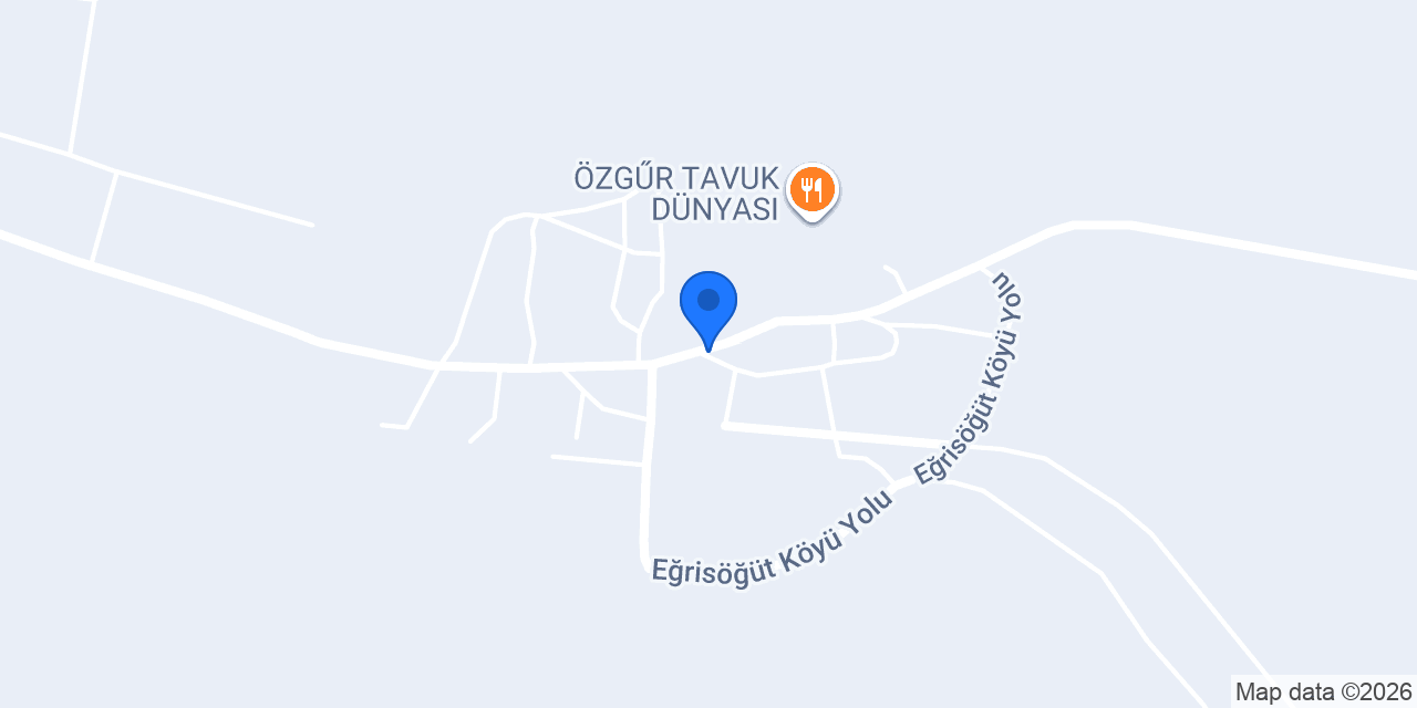 Fiba Sondaj konumu