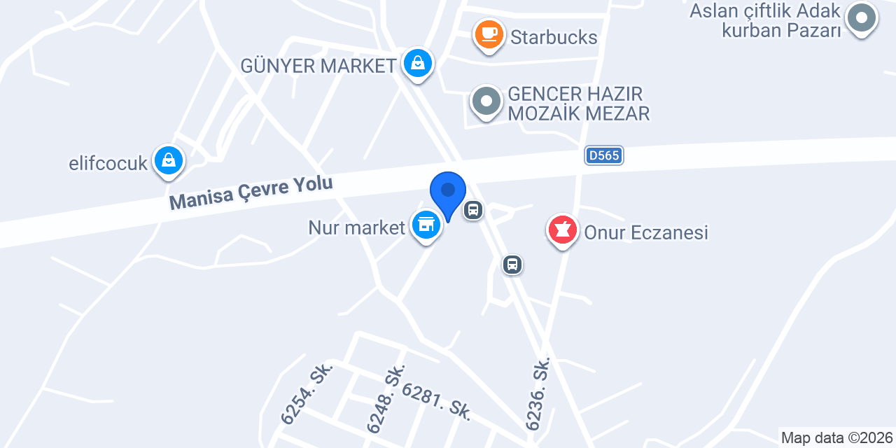 Alba Halı Yıkama Manisa konumu