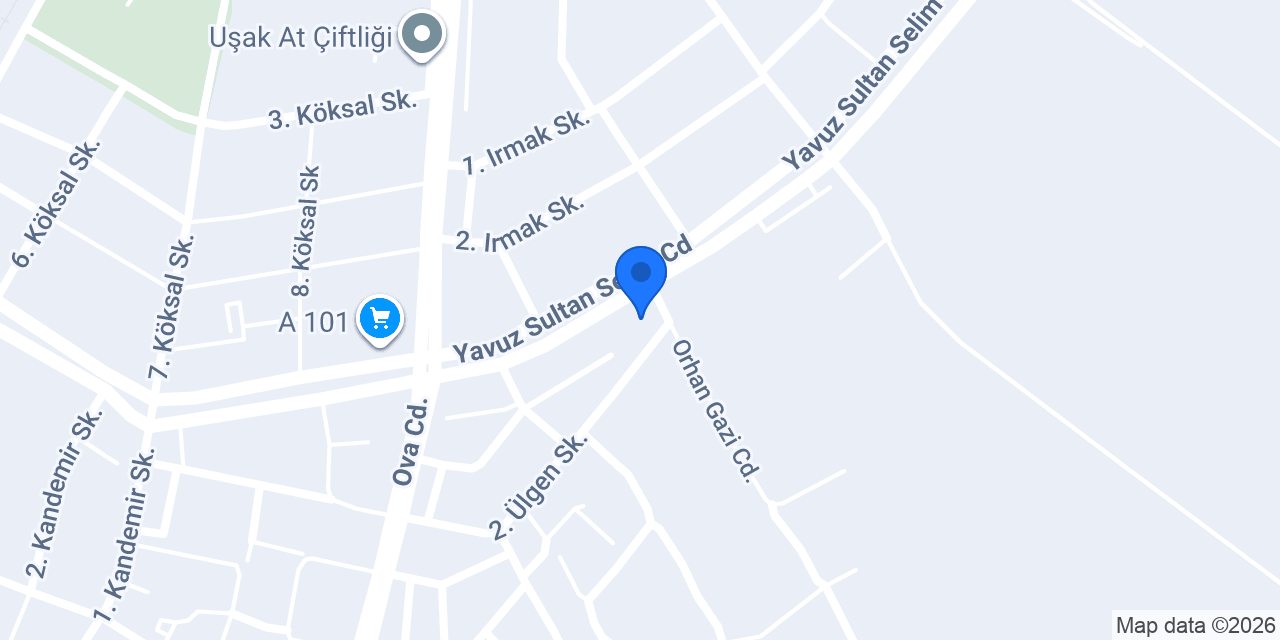 Psikolog İrem Sağlık konumu