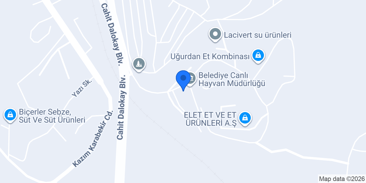 YILTAV YUMURTA konumu