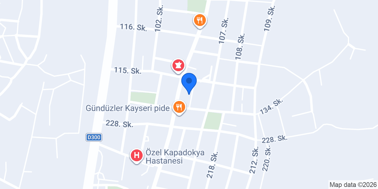 Nafiz ve Cemile Dirikoç ASM konumu