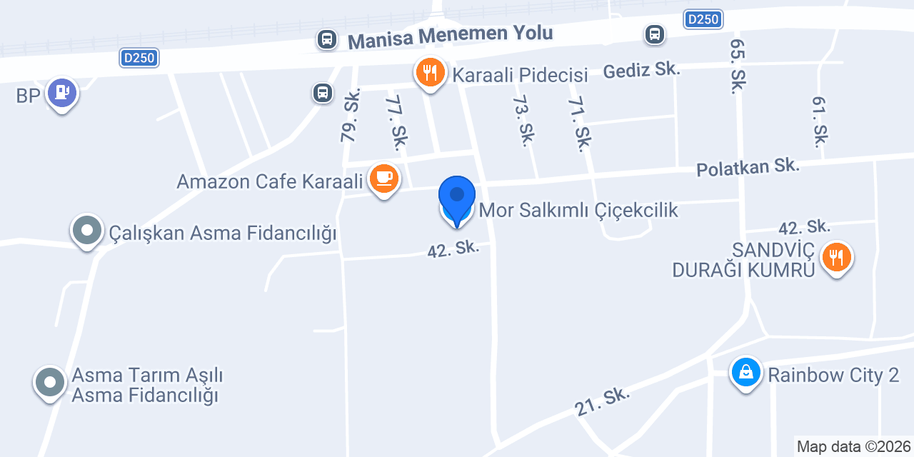 Mor Salkımlı Çiçekcilik konumu