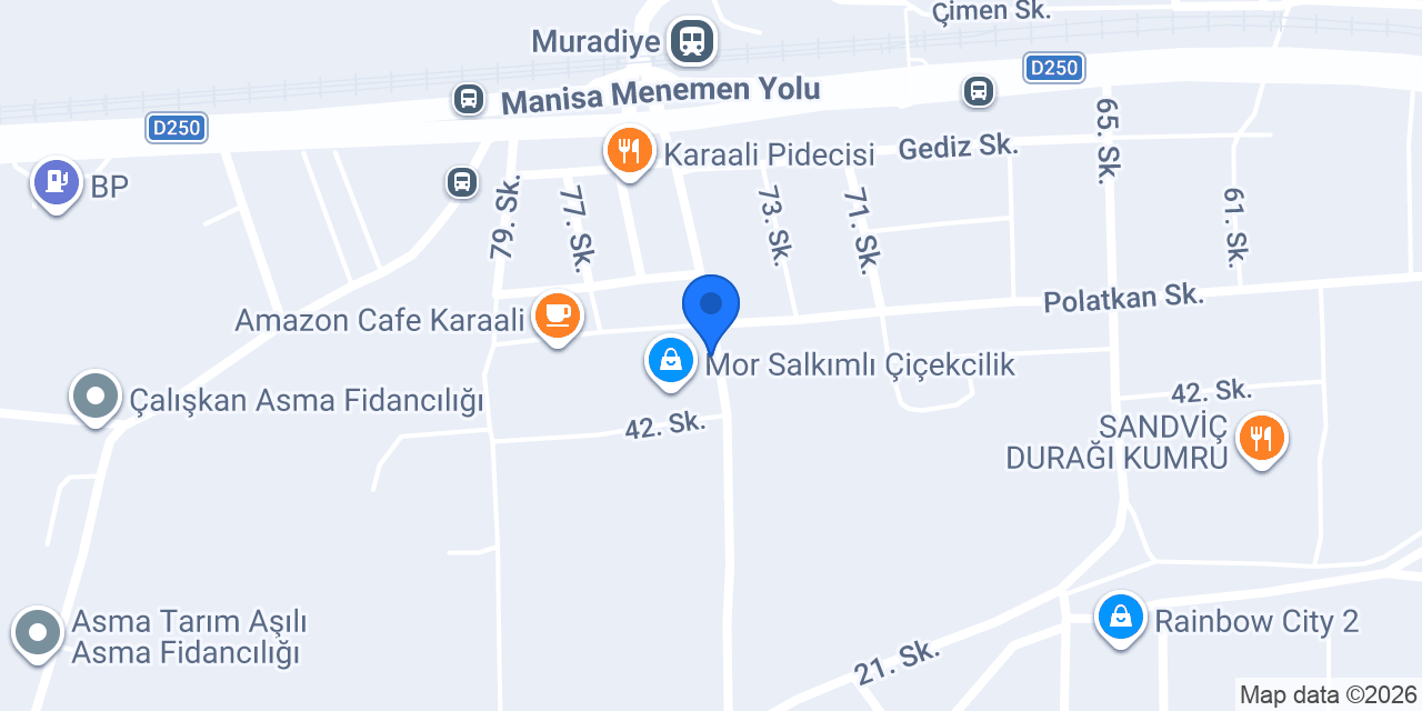 Ateş sandvic konumu