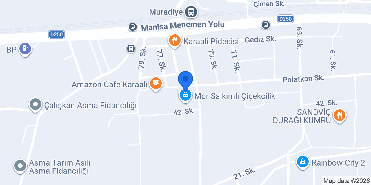 Tunç Teknik Tesisat ve Dekorasyon konumu