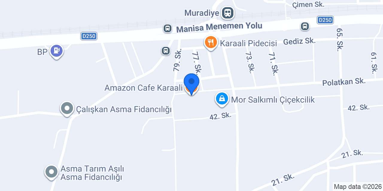 Amazon Cafe Karaali konumu