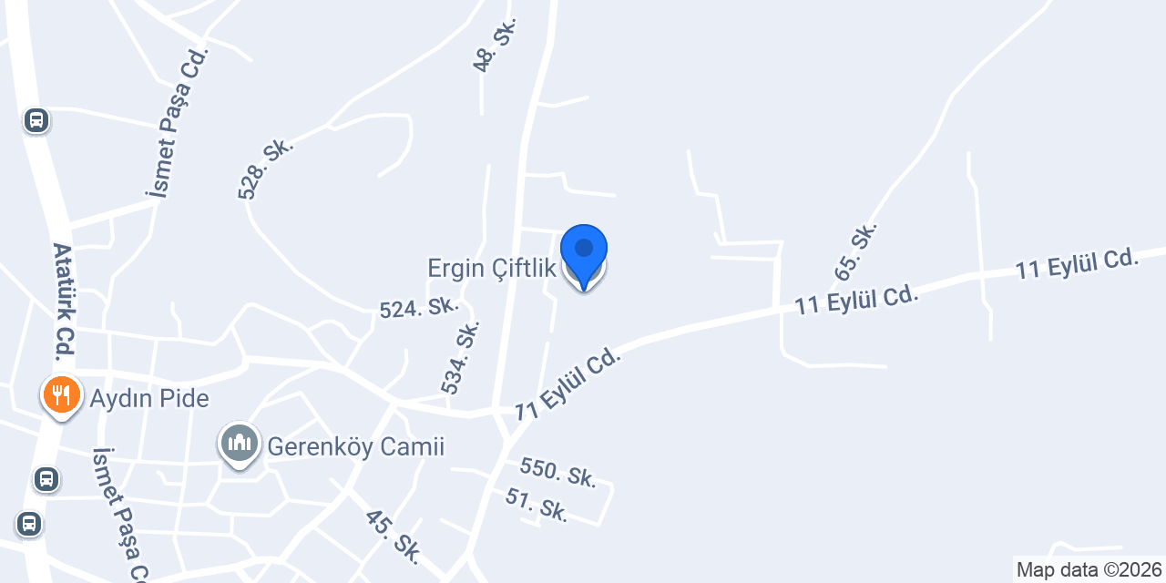 Ergin Çiftlik konumu