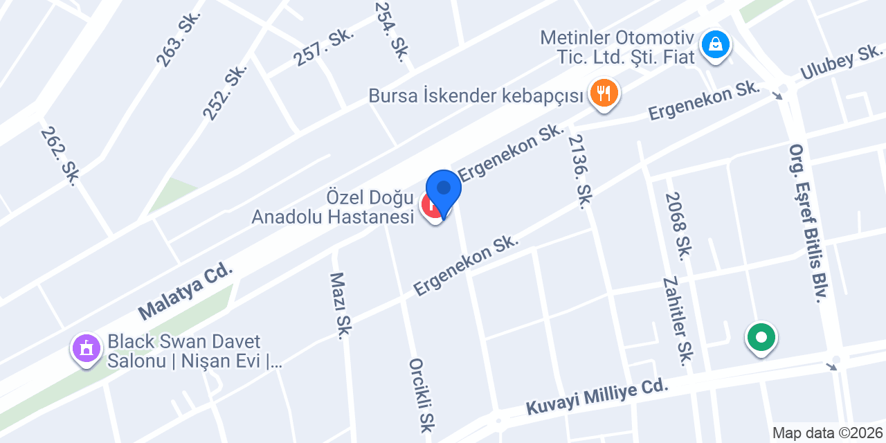 Evmia Mobilya & Halı konumu