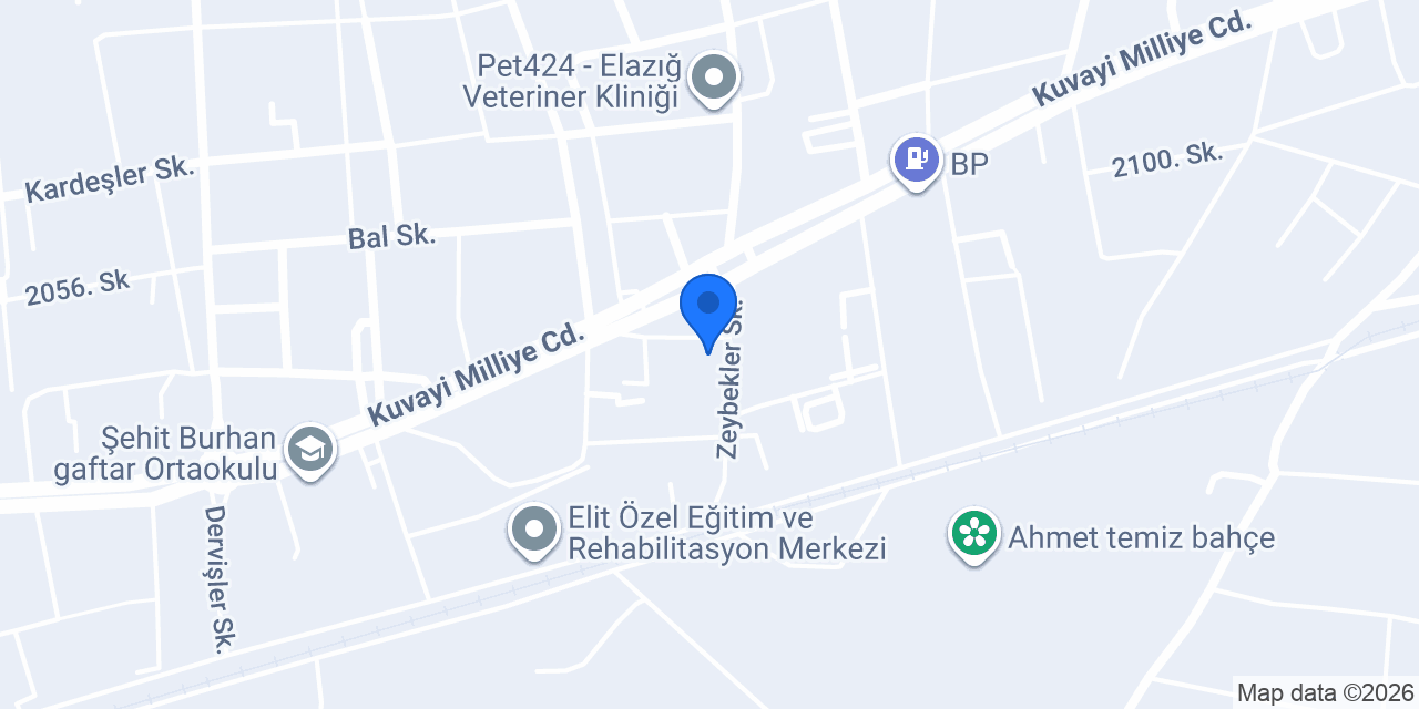 ÇINAR OTOMOTİV konumu