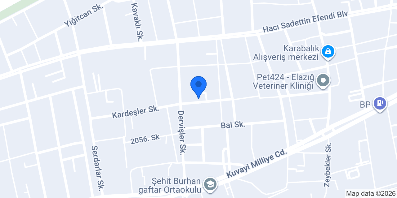 Elazığ Güzel Sanatlar Derneği konumu