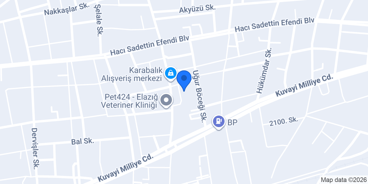 BNG GROUP ELAZIĞ konumu