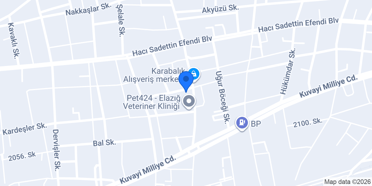 Fizyoterapist Berna Çelik konumu