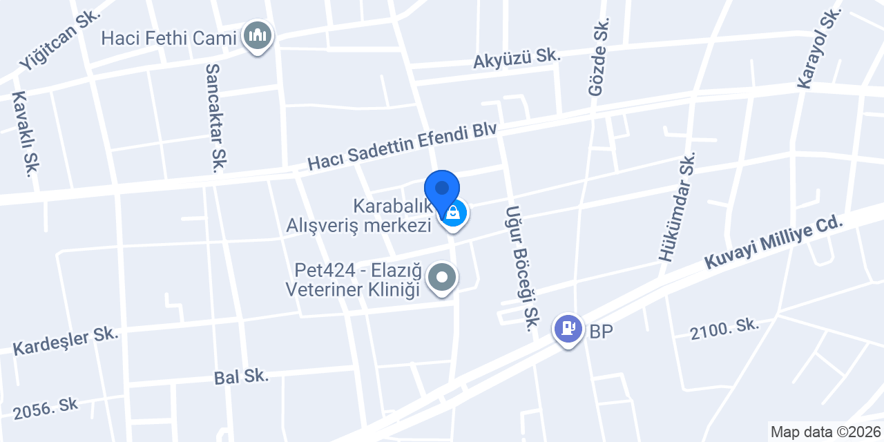 VİP ELEKTRİK konumu