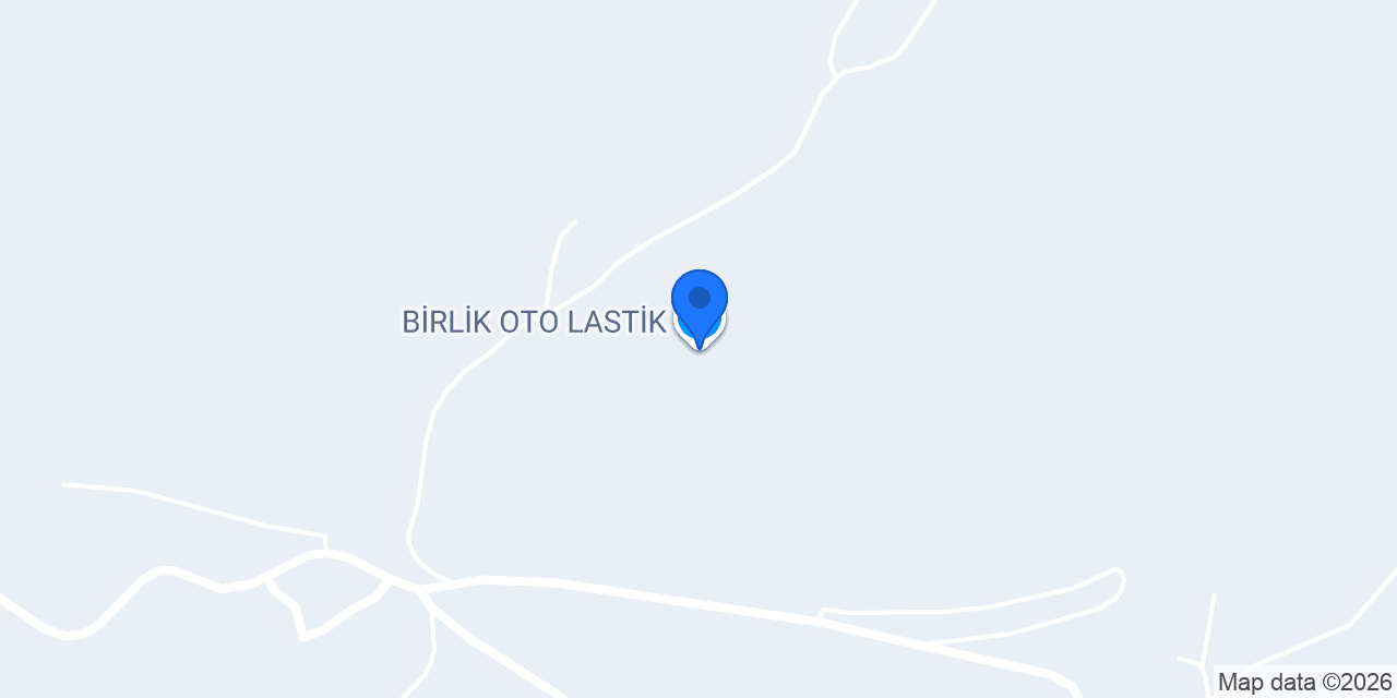 BİRLİK OTO LASTİK konumu