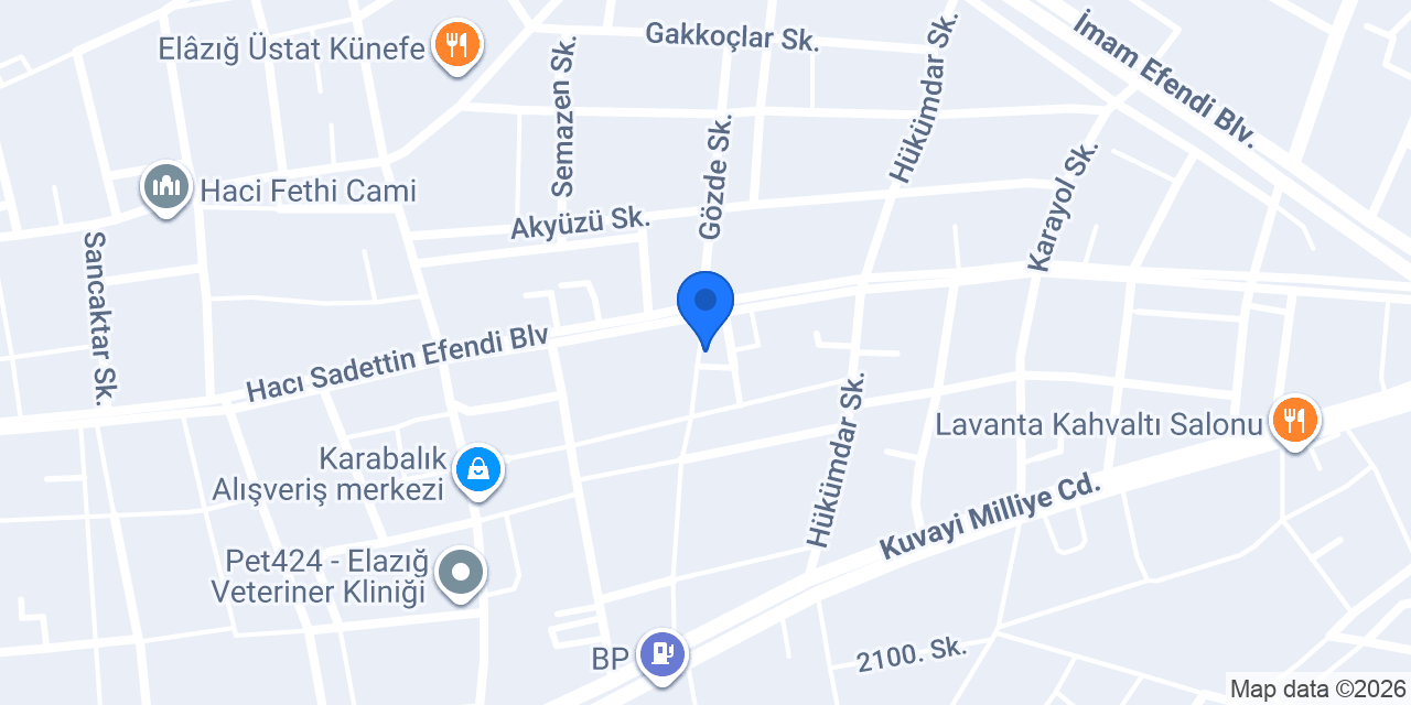 Alysa bayan terzi konumu