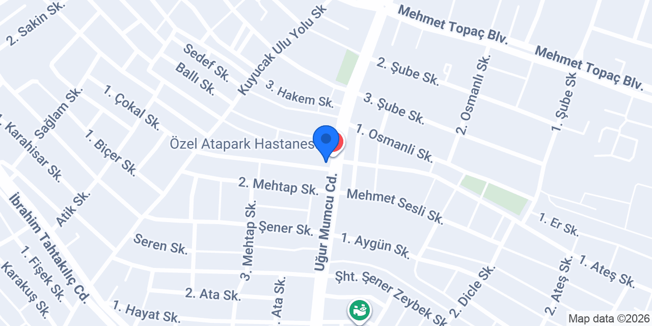 Maviş kokoreç konumu