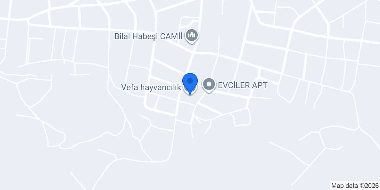 Vefa hayvancılık konumu