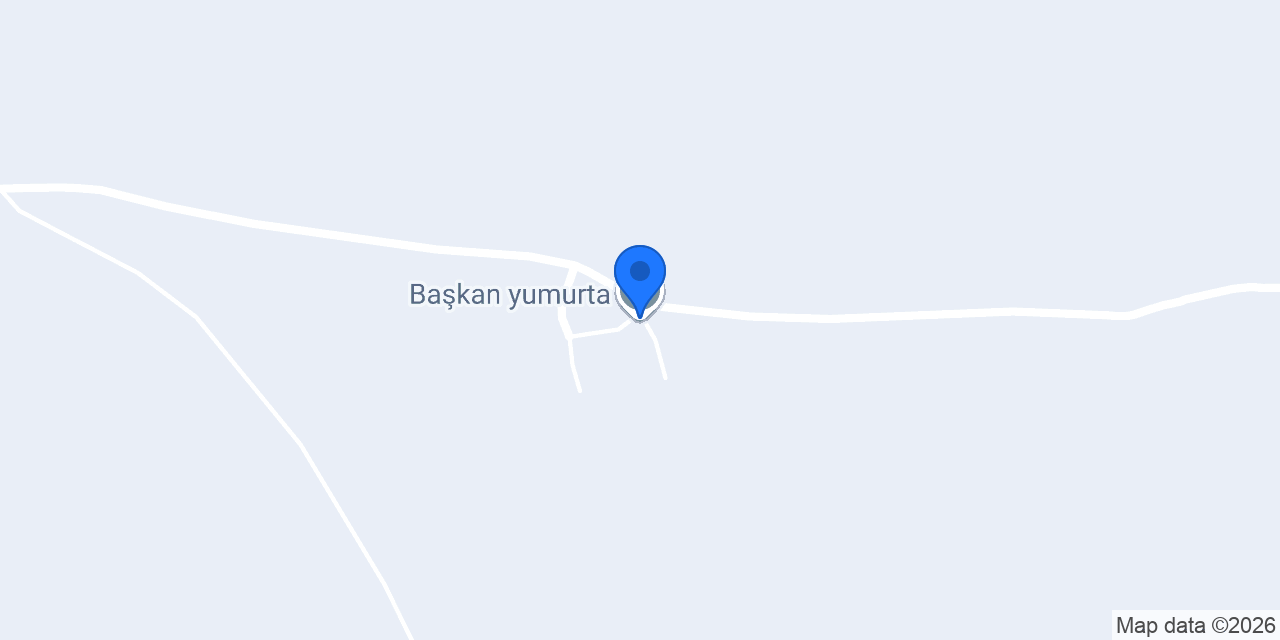 Başkan yumurta konumu