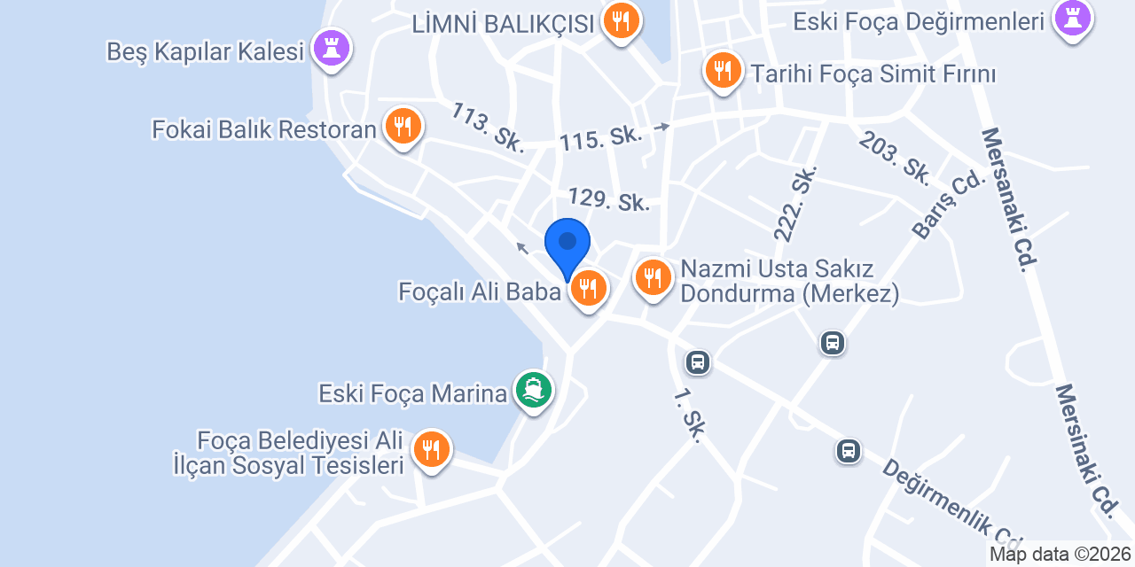 Foça Patican Petshop konumu