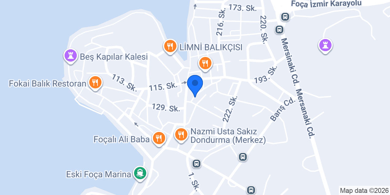 Elit Kundura konumu