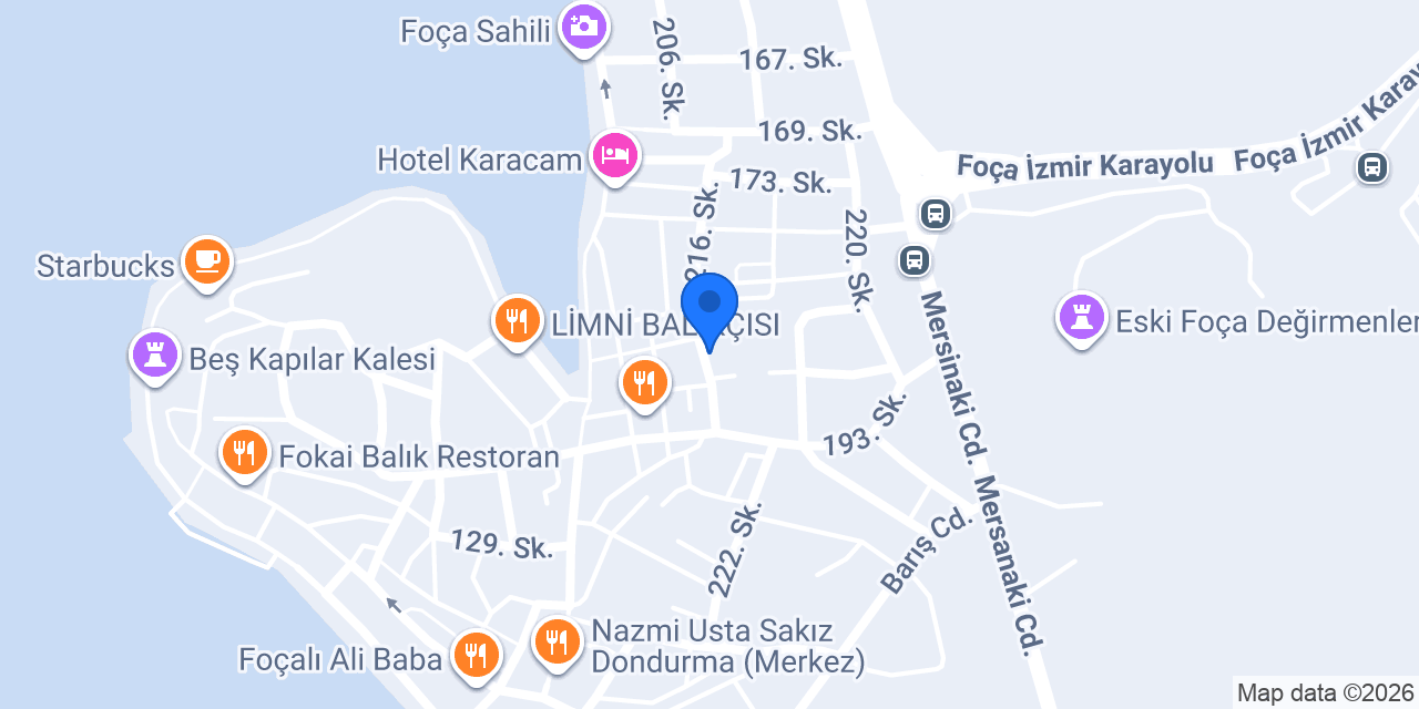 foca özgür elektirik konumu