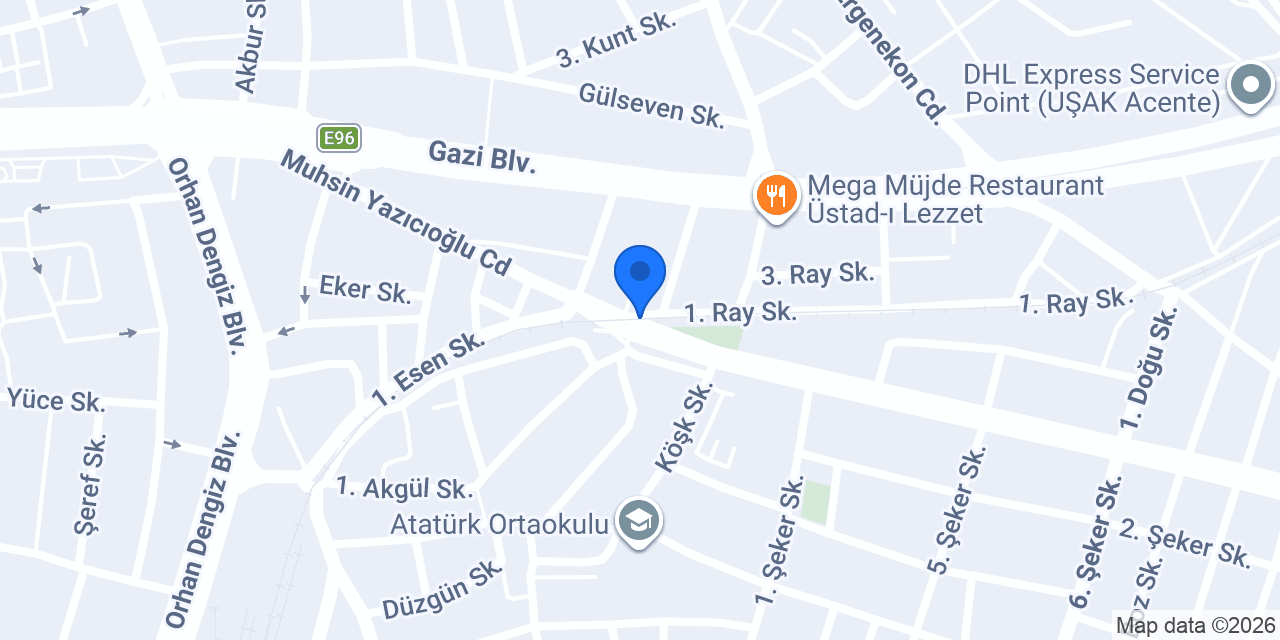 Esila Dilek Arslan konumu