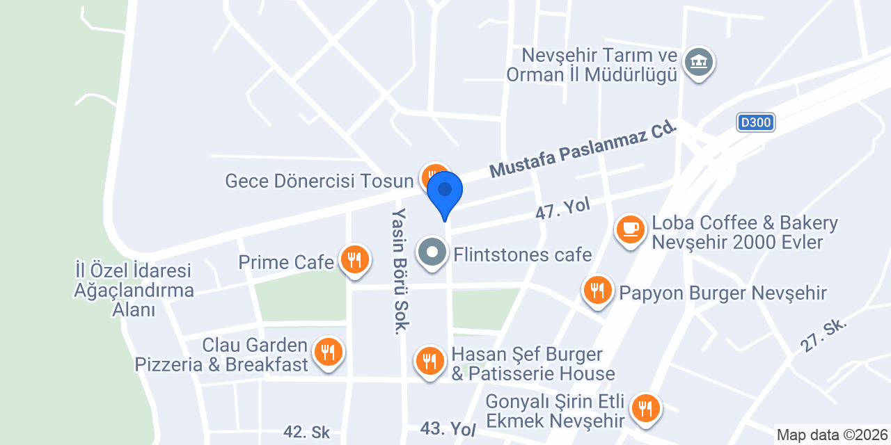 SILA TERZİ konumu