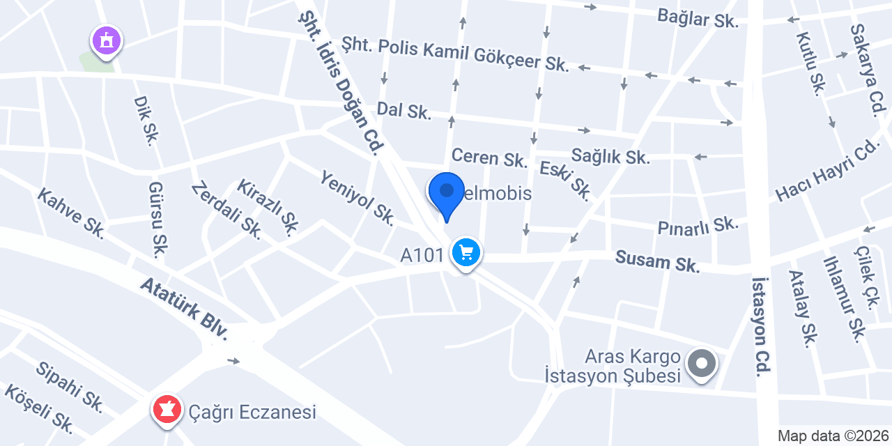 BAŞKAN GIDA konumu