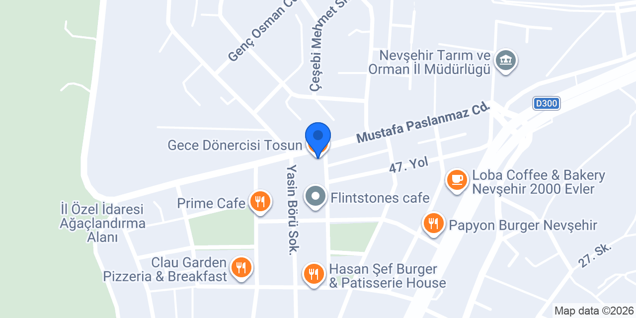 Gece Dönercisi Tosun konumu