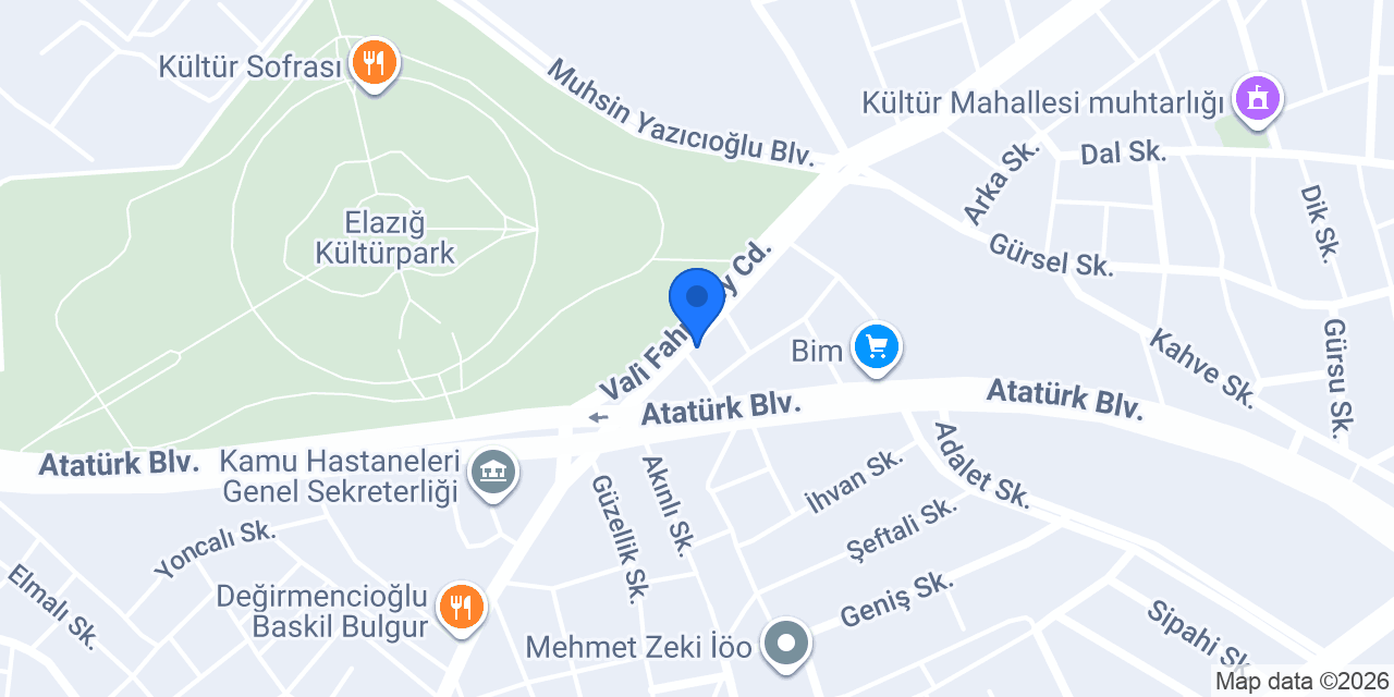 ÇAĞDAŞ ELEKTRONİK konumu