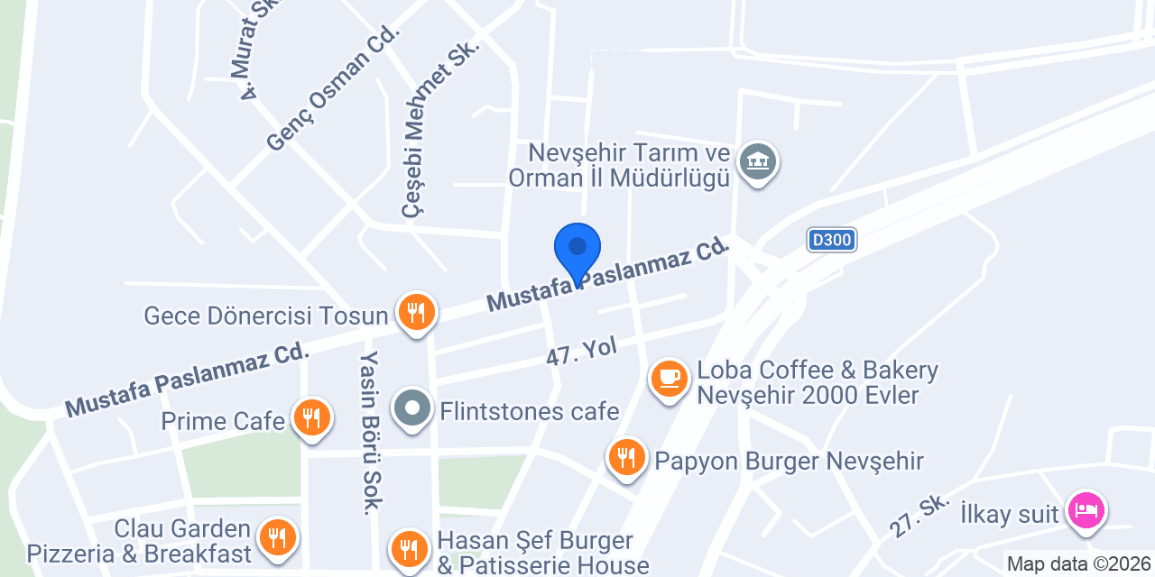 Yeşil Pizza&Makarna konumu