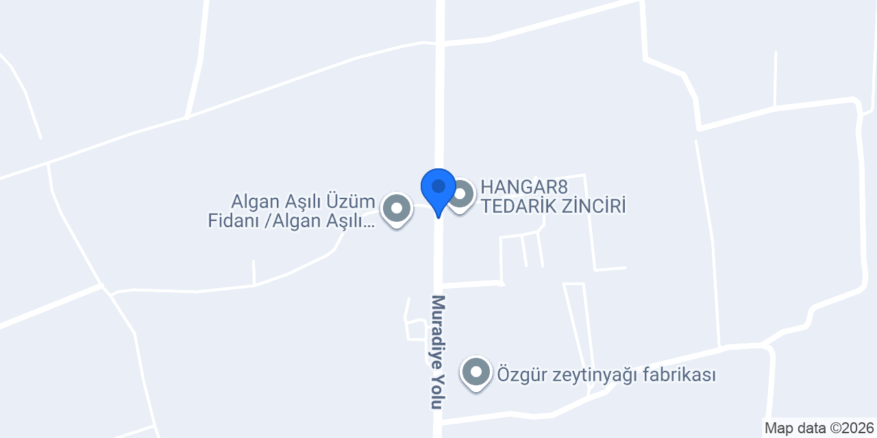Tek Halı Yıkama konumu