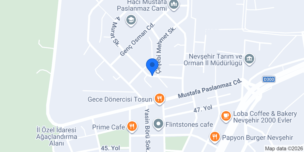 Sevimli dostlar petshop konumu