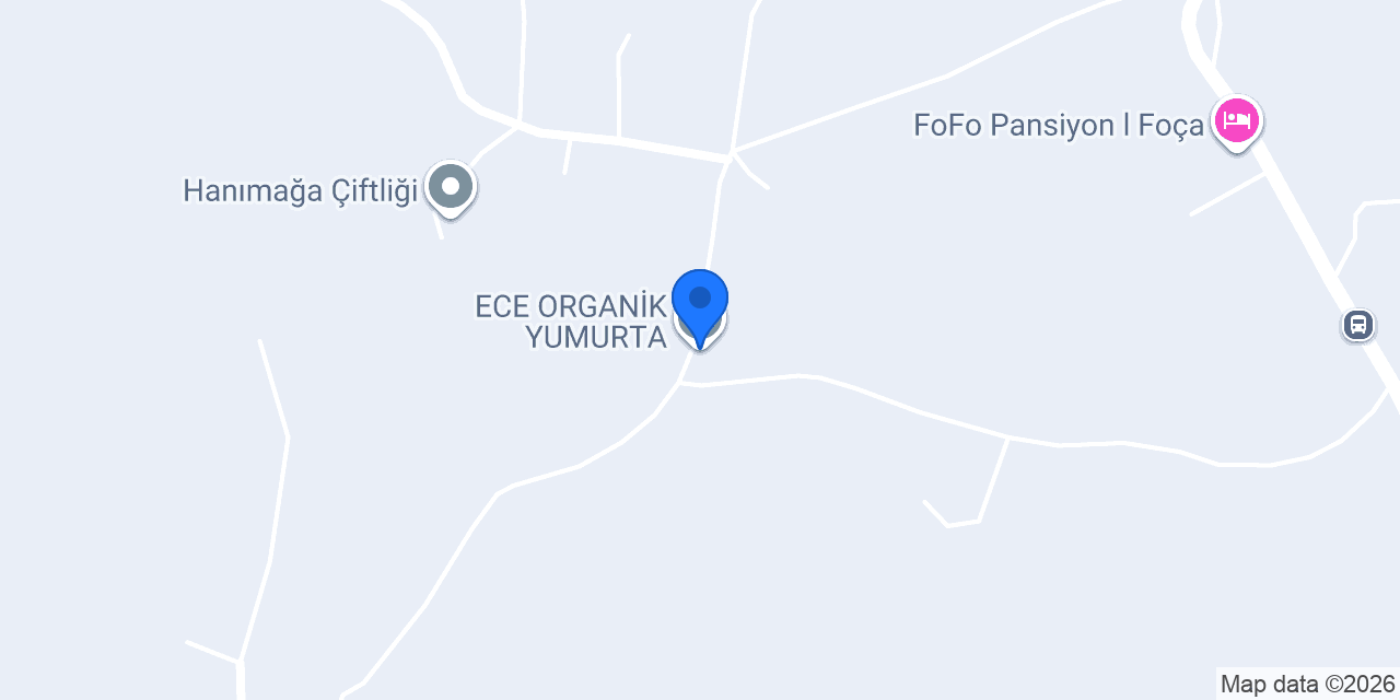 ECE ORGANİK YUMURTA konumu